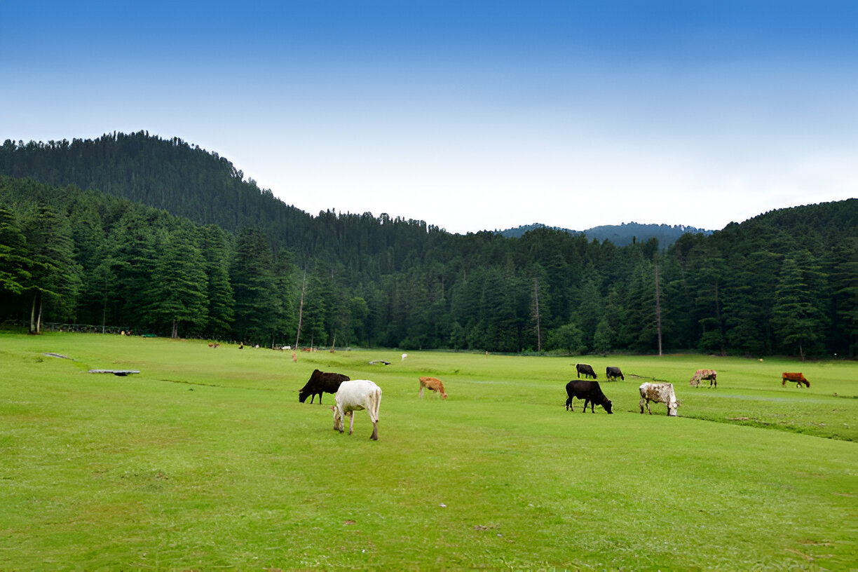 HIMACHAL WITH AMRITSAR- 05 Nights & 06 Days